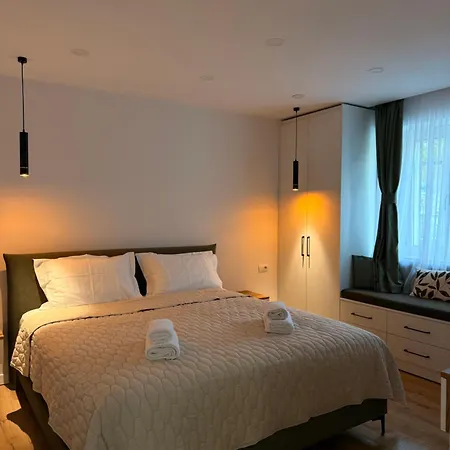 Nest Prive 公寓 地拉那